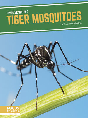 cover image of Tiger Mosquitoes